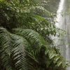 Moena – L’incanto della Foresta