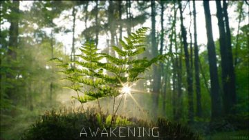 Deniz Aktürk – Awakening