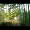 Deniz Aktürk – Awakening