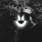 Furkan Bekman ft. Etki – Derin
